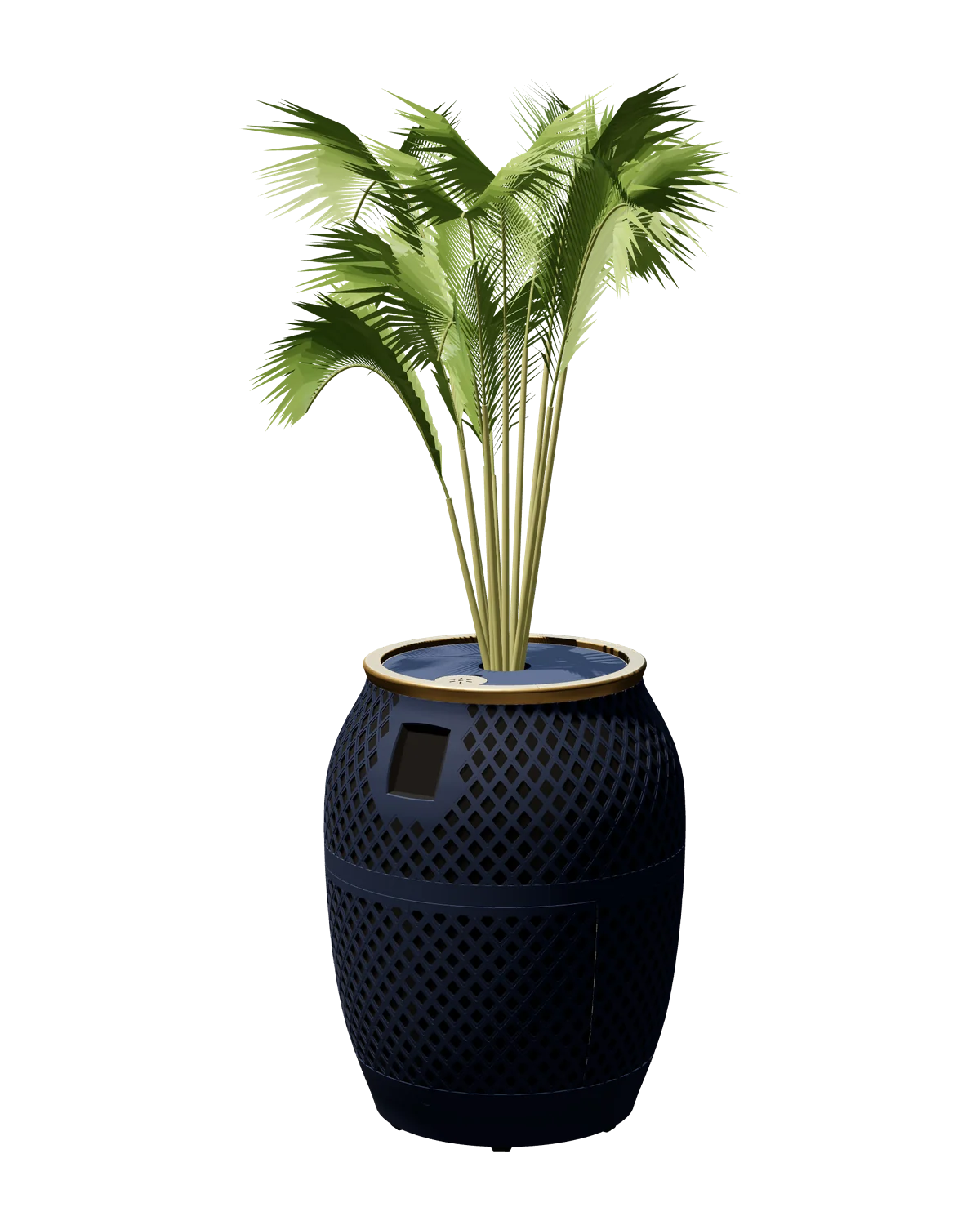 Purispira Home Jali, a diamond lattice vase with a brass-coloured rim and an areca palm